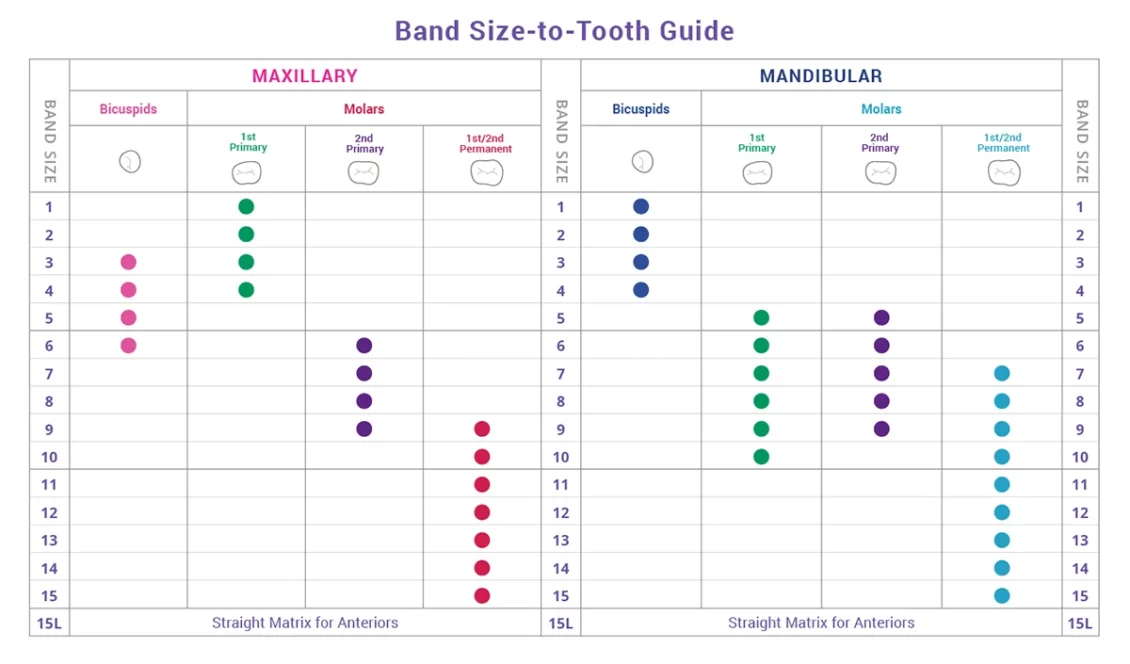 Pediatric Preformed Matrix Band to Tooth Sizing Guide